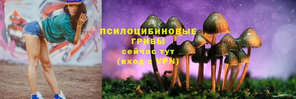 mdma Вязьма