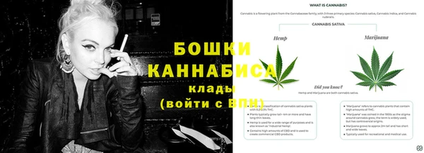 ГАЛЛЮЦИНОГЕННЫЕ ГРИБЫ Вязники