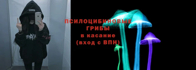 mdma Вязьма