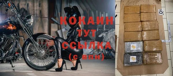 ГАЛЛЮЦИНОГЕННЫЕ ГРИБЫ Вязники