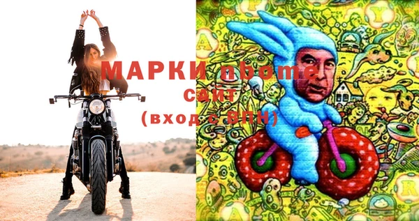 ГАЛЛЮЦИНОГЕННЫЕ ГРИБЫ Вязники