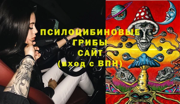 ГАЛЛЮЦИНОГЕННЫЕ ГРИБЫ Вязники
