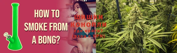 прущая мука Вяземский