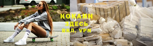 ГАЛЛЮЦИНОГЕННЫЕ ГРИБЫ Вязники