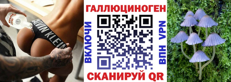 Галлюциногенные грибы MAGIC MUSHROOMS  Новосокольники 